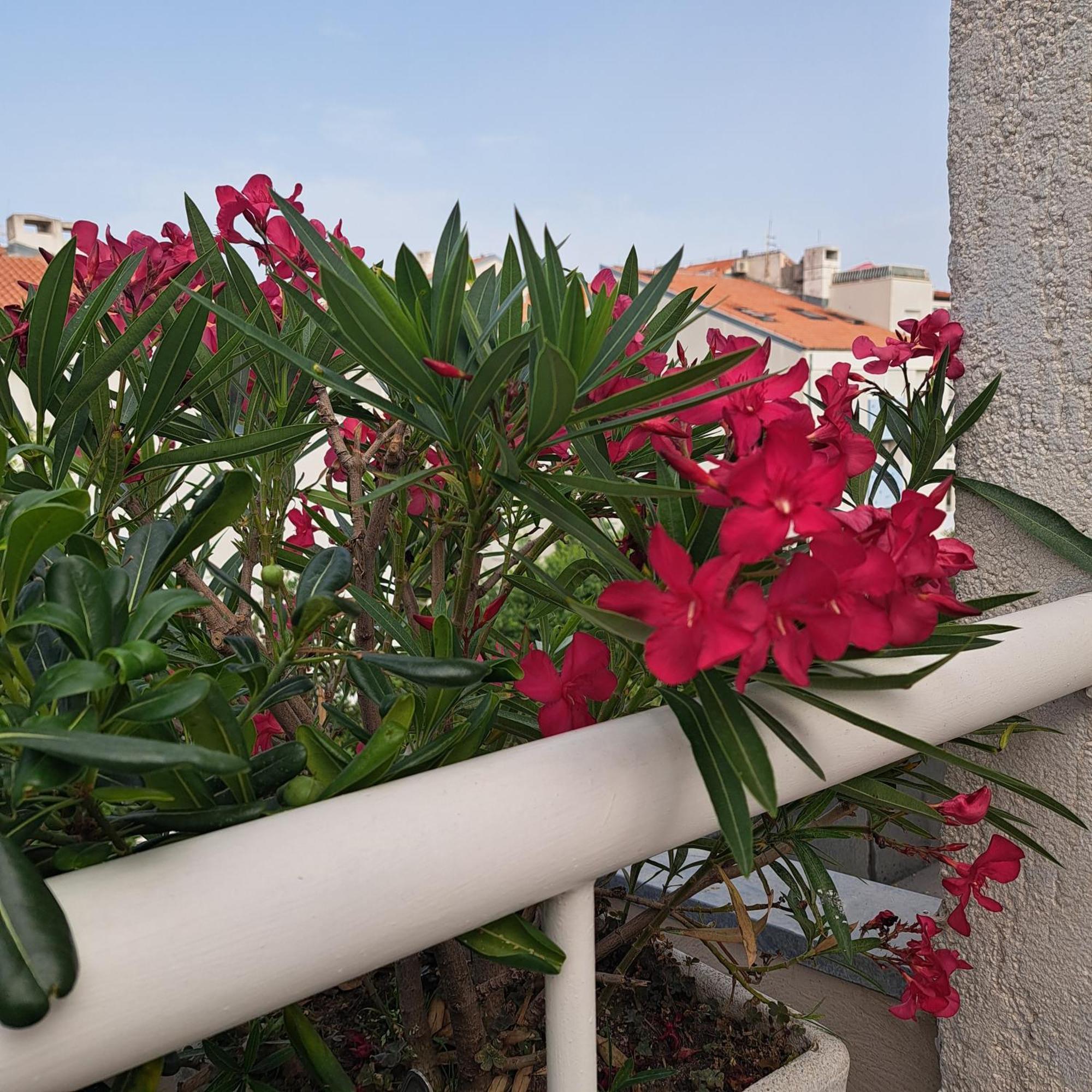 Apartman Fox Σπλιτ Εξωτερικό φωτογραφία